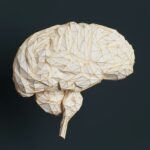 ketamine and cortisol