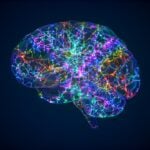 ketamine brain studies