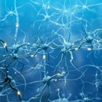 psychedelics cognitive flexibility
