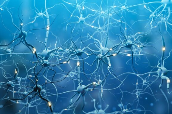 psychedelics cognitive flexibility