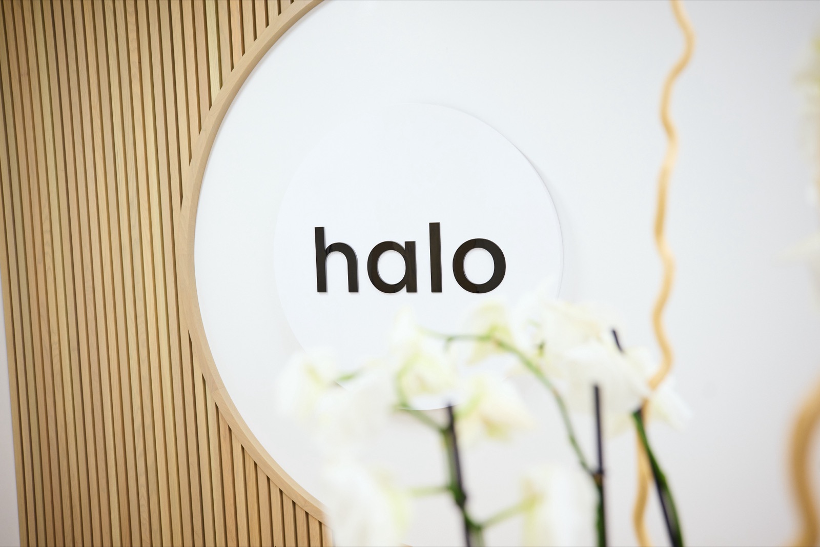 Halo logo wall at the Oberlin Road office
